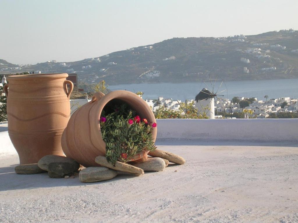 La Veranda Of Mykonos Traditional Guesthouse Mykonos Town Екстер'єр фото