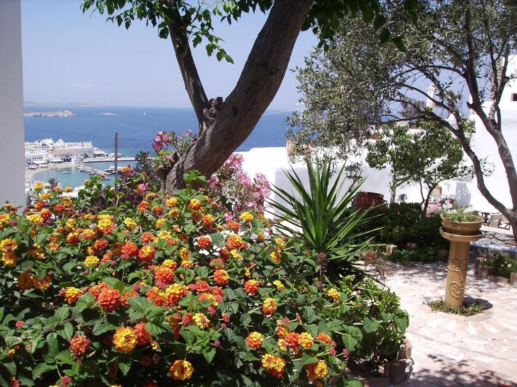 La Veranda Of Mykonos Traditional Guesthouse Mykonos Town Екстер'єр фото
